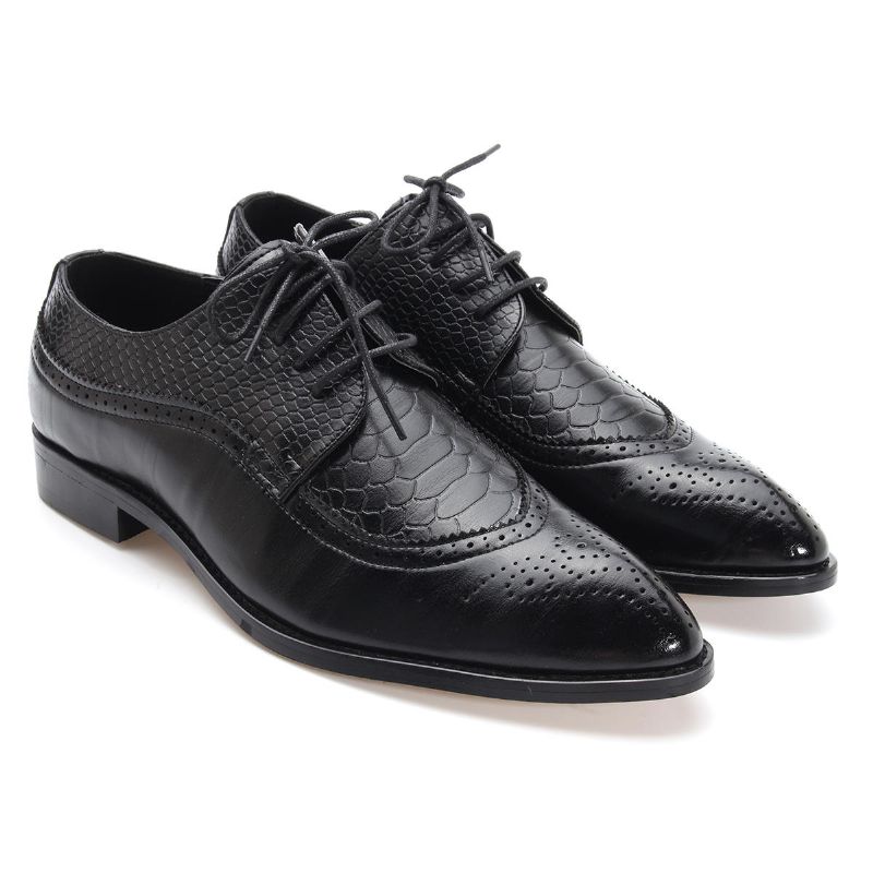 Chaussures Habillées Classiques À Bout Pointu Pour Hommes