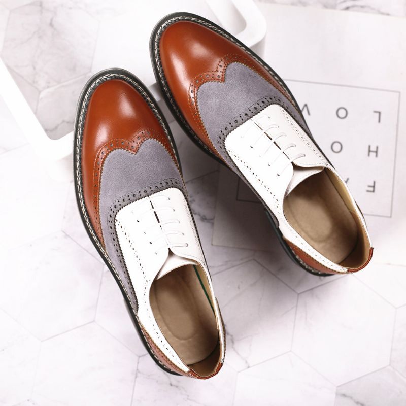 Hommes Brogue Colorblock Oxfords Lace Up Business Casual Chaussures Formelles