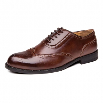 Hommes Brogue Sculpté Robe Formelle Chaussure Casual Business Oxfords