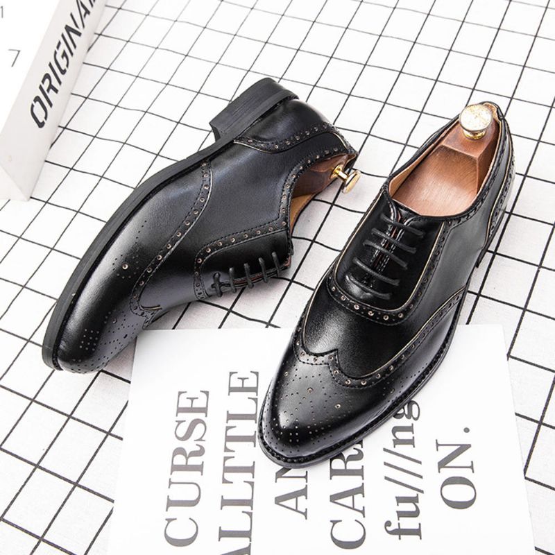 Hommes Brogue Sculpté Robe Formelle Chaussure Casual Business Oxfords