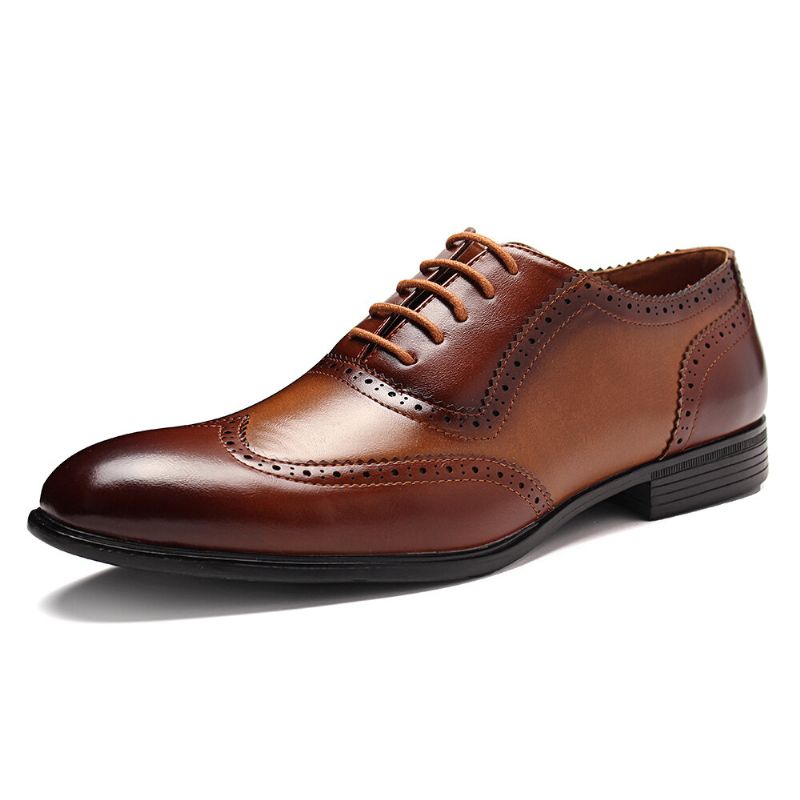 Hommes Brogue Sculpté Spicing Cuir Pointu Business Oxfords